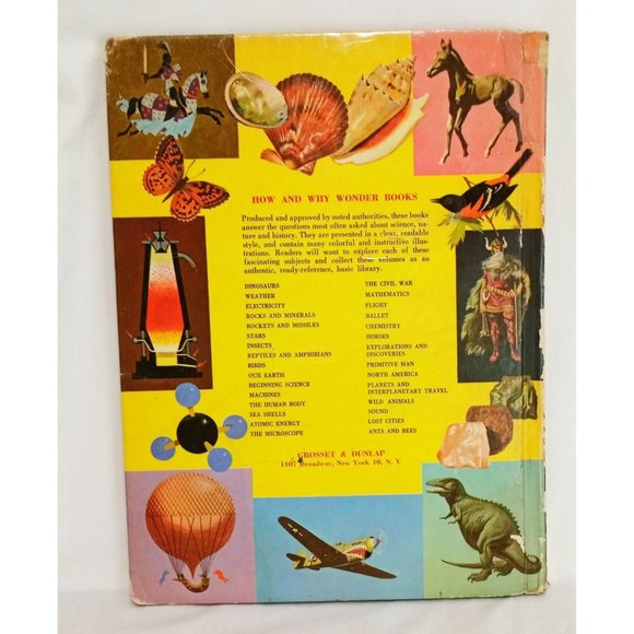 How and Why Ants and Bees Hardcover Book 1962 School Ex-Library Ronald N Rood - Picture 2 of 12